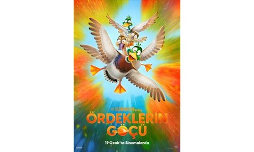 ÖRDEKLERİN GÖÇÜ